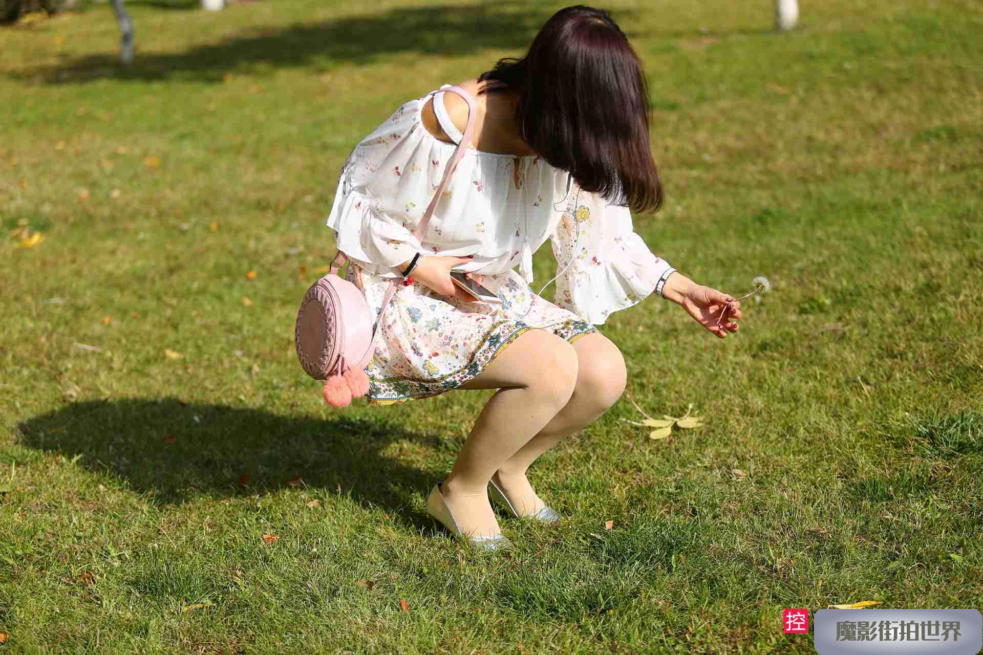 蒲公英第二季3A2191[20M]