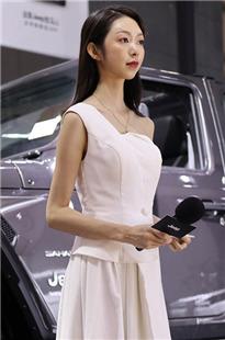 长裙气质主持人高跟美女3A186[45P-257M]