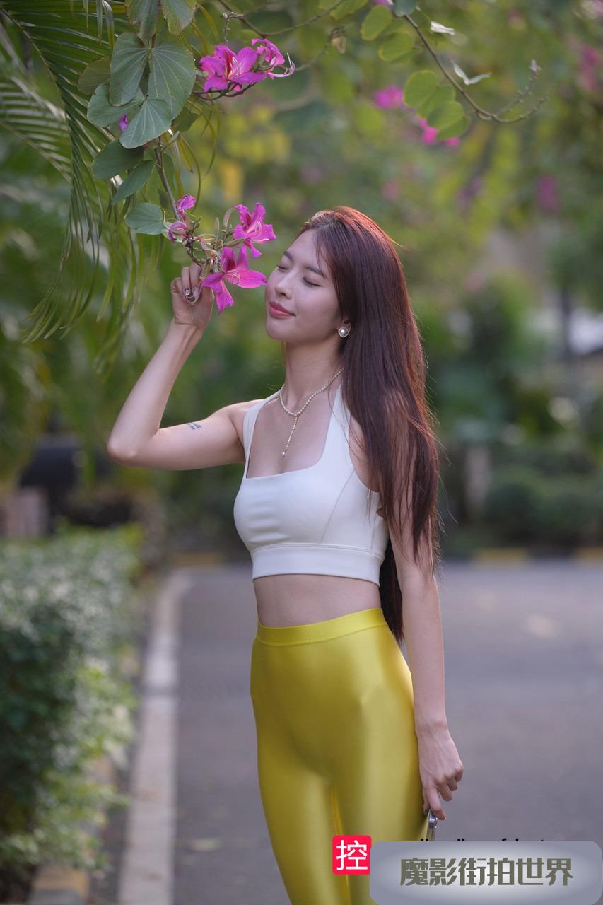 离别开出花MJ3225
