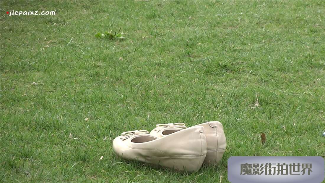 草地上的极品肉色长丝袜少F [595 MB/MP4]