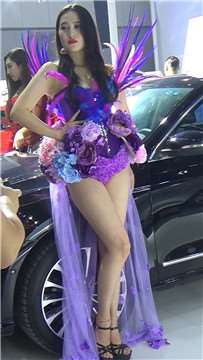 性感美腿高跟鞋车展靓模