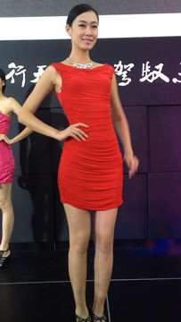 前凸后翘的优雅知性红裙长腿美女车模。