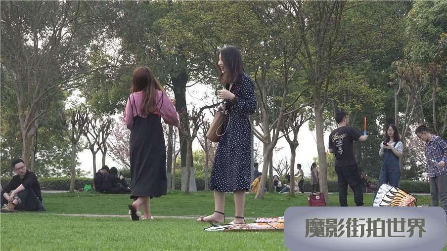 4k-公园草地放风筝的连衣裙文艺清新街拍美女