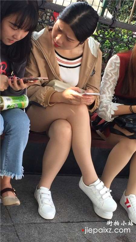 路边花坛玩手机的三位清纯丝袜美腿小美女
