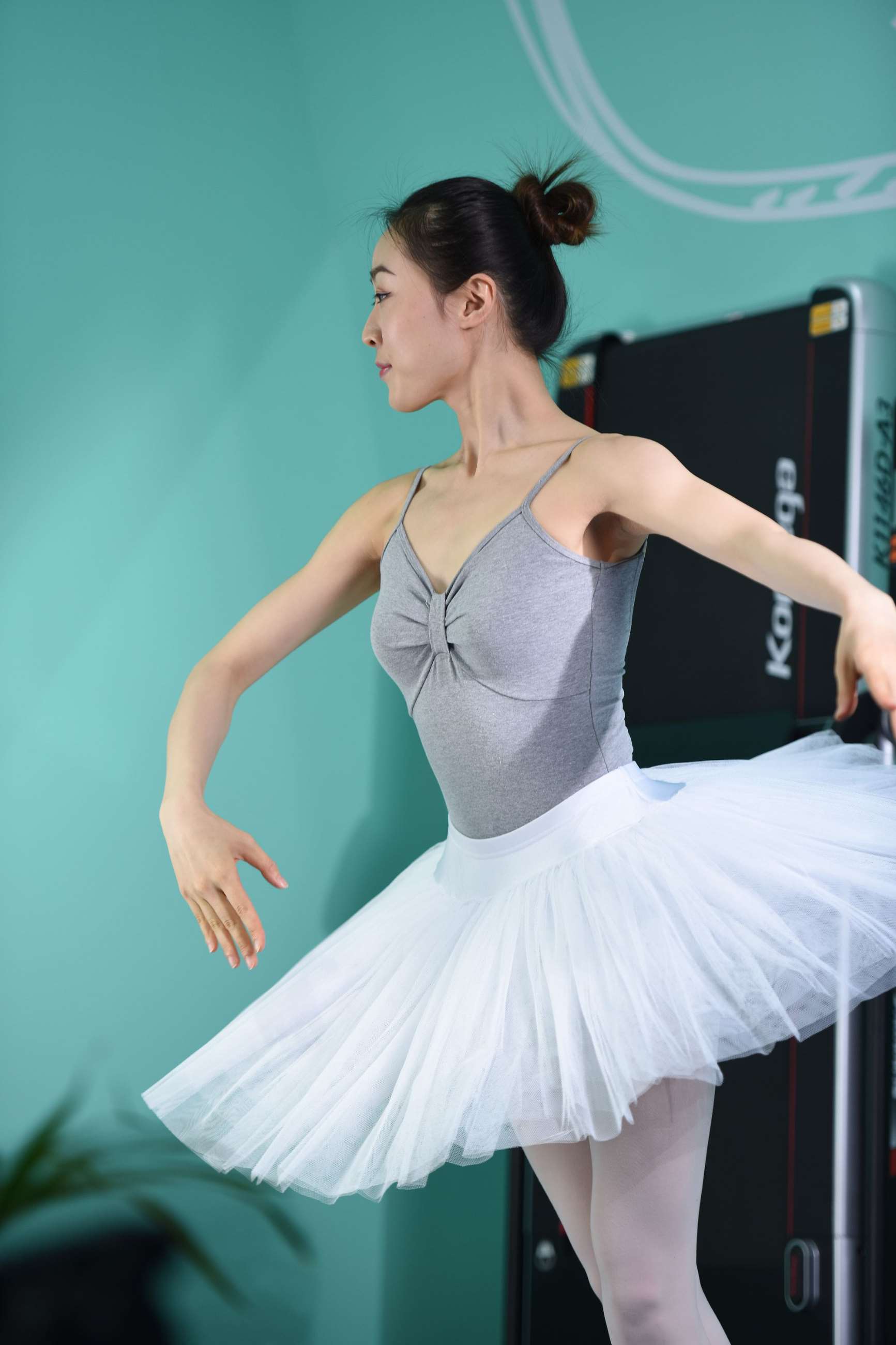 J176芭蕾天鹅