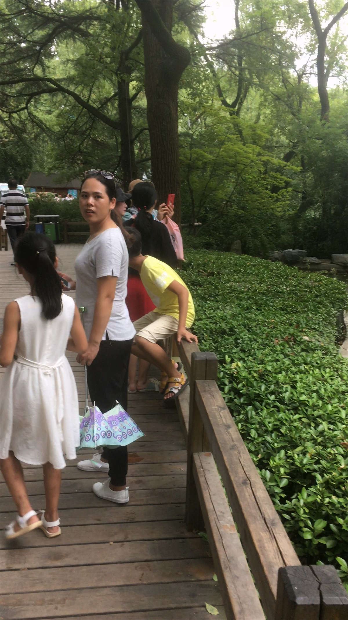 景区红裙小妹