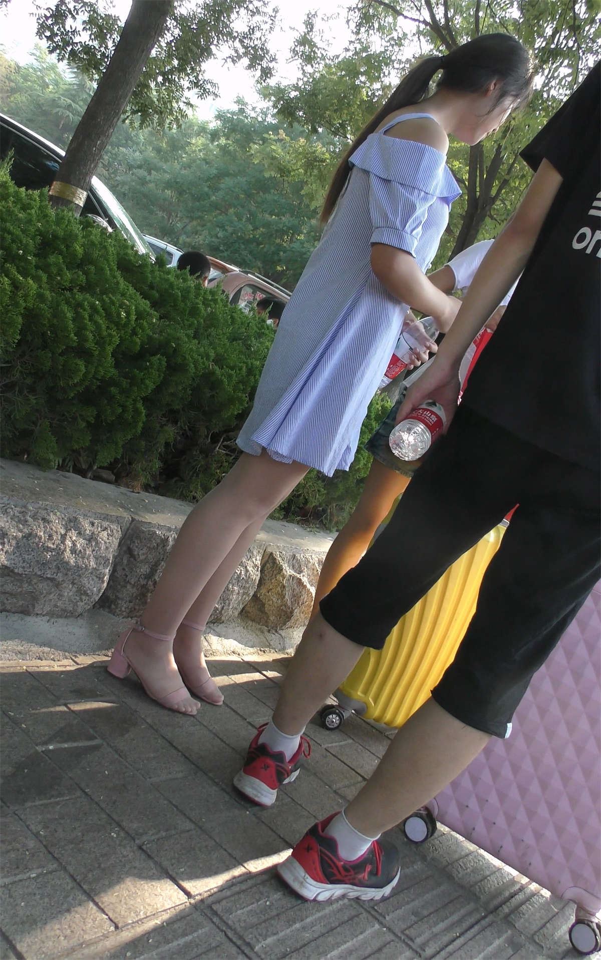返校的丝袜美女