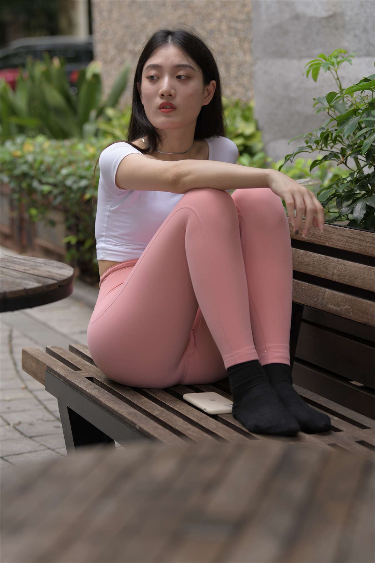 一只麋鹿摄影作品 抹茶加冰