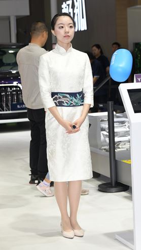 礼仪小姐(31P)