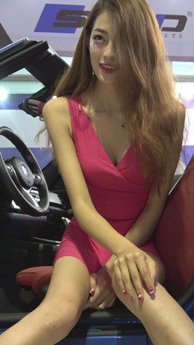 长腿长裙车模美女