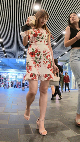 花裙美女