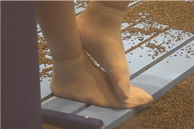4K 短肉丝美足 1