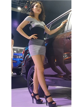 极品性感包臀裙美女车模