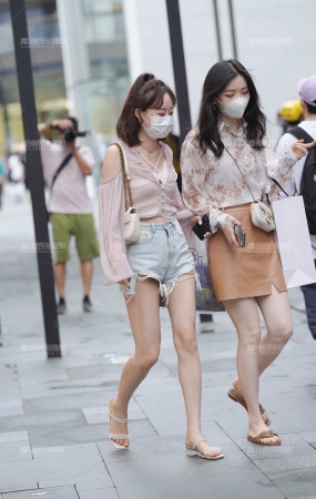 云想衣裳花想容