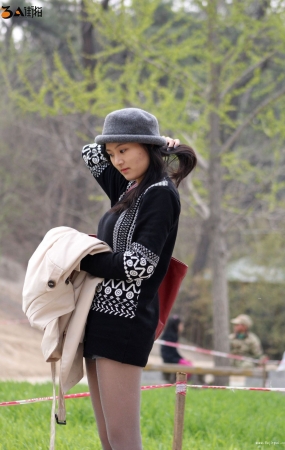 018-公园灰丝-1-12P-12P