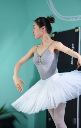 J176芭蕾天鹅