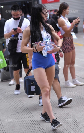 迎来来了一群
