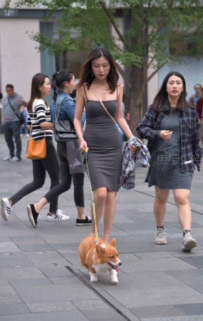 搭讪遛狗狗的灰色群性感美女
