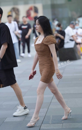 2106110-8 51p