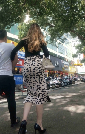 御姐气质的豹纹包臀高跟美妇