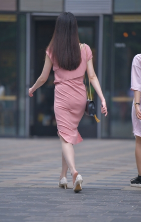 可爱狗狗