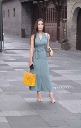 知性的连衣长裙美女姐姐