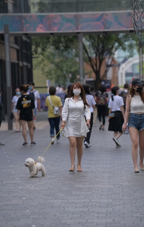 遛狗的丰腴白裙妹子
