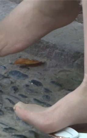 晾脚 [341 MB/MP4]