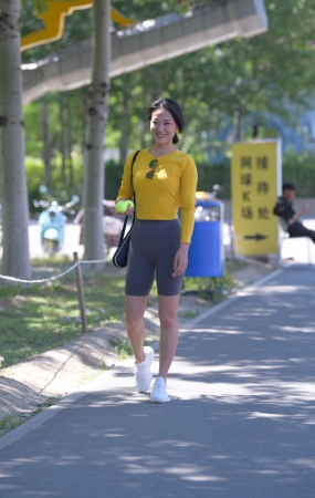心向网之