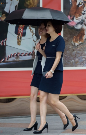 2017051502-10P