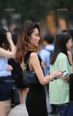 知性美女 耐看