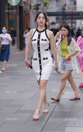 靓丽气质美人儿