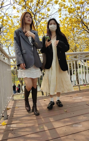 气质棕色长靴女神