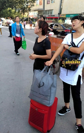 夏日整理之挺拔的妹纸