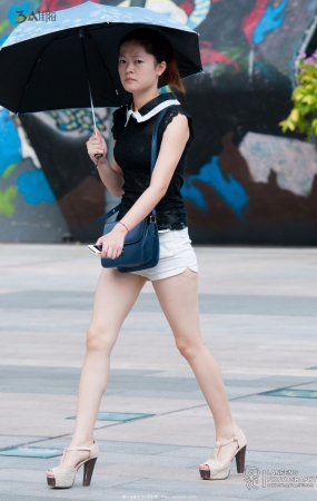 蓝风0597-8P