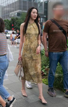 气质御姐