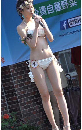 宝岛第九届小姐大赛