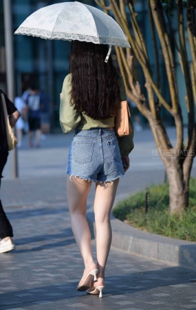 撑伞的短牛姑娘