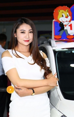 还是哪一系白色-16P