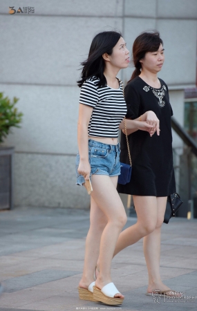 蓝风0026-10P