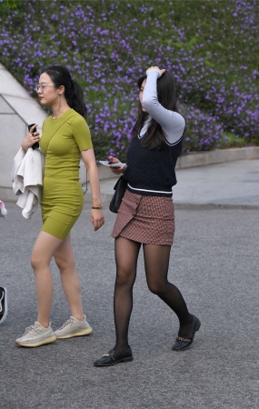 绿裙肉丝黑丝