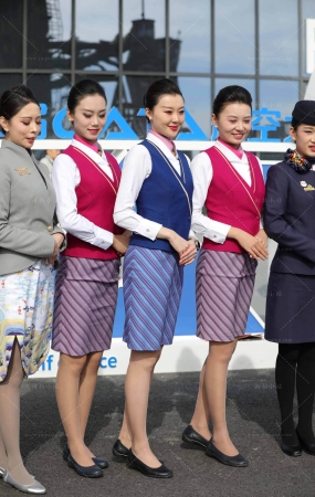 端庄的空姐