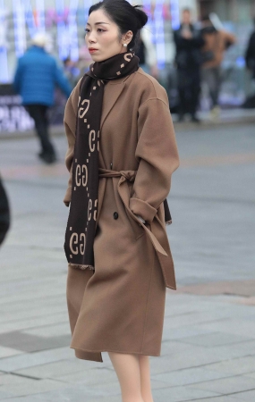 气质肉丝街拍少妇