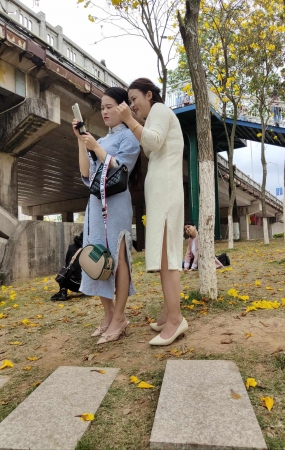 冒死拍到两个旗袍美美人高跟