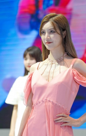 靓丽车模