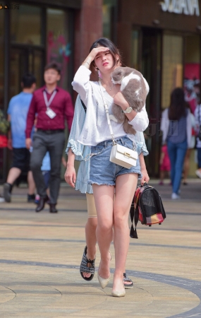 抱小狗的长腿美女-16P