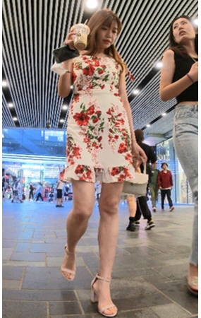 花裙美女