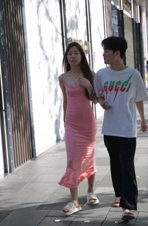 窈窕淑女君子好逑