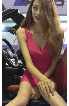 长腿长裙车模美女