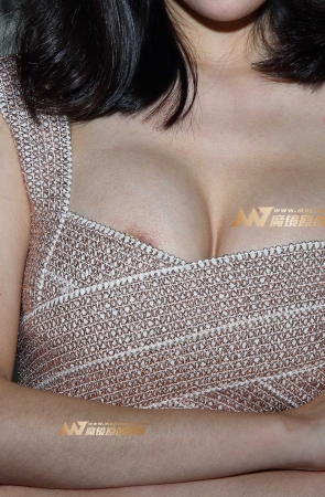 驼色连衣裙车模